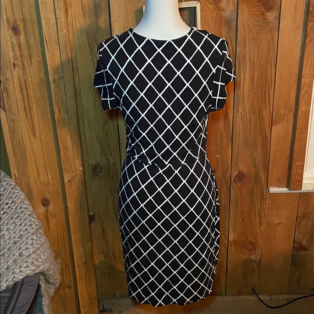 Express Dress - Picture 4 of 5